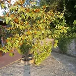 By Interhome *