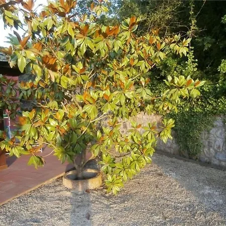 By Interhome *