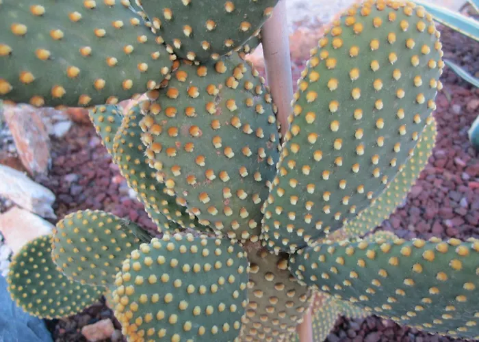 Mit Wasserblick By Interhome Διαμέρισμα