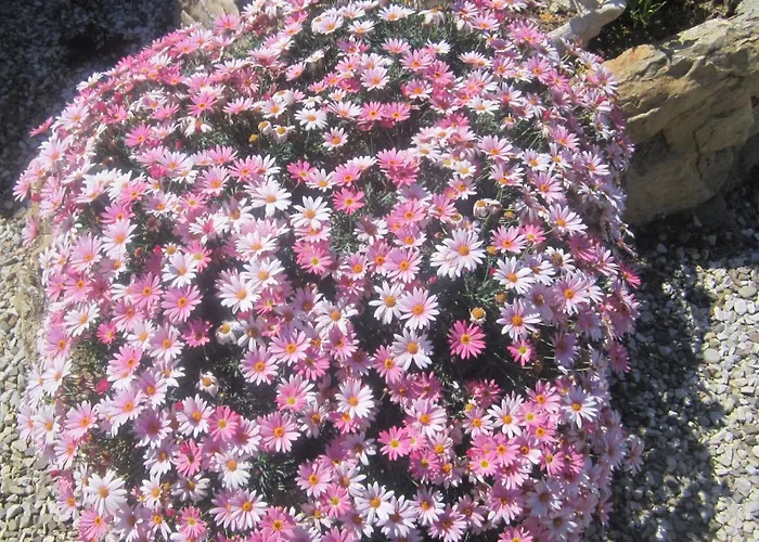 Mit Wasserblick By Interhome 卡波利韦里